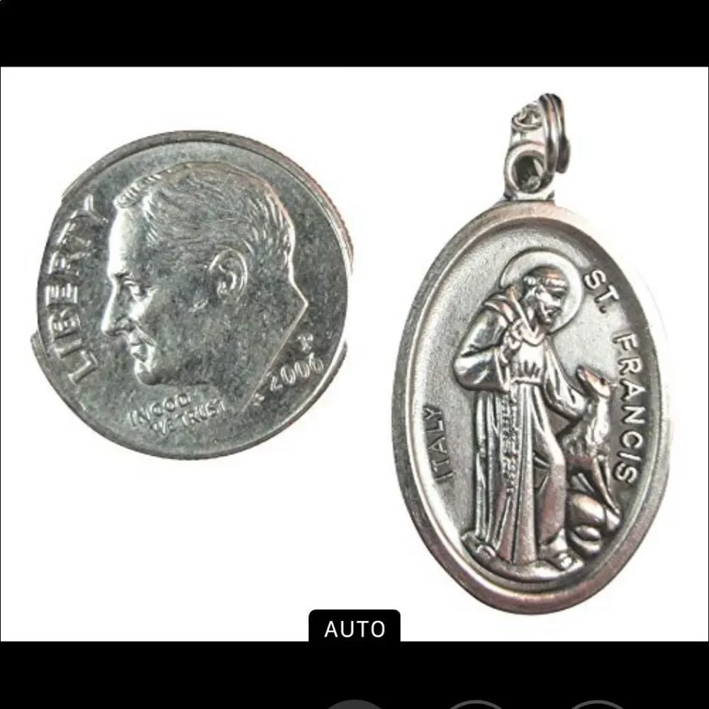 St Francis Pet Medal Tag - Saves Shelter Pets -USA - Picture 2 of 5